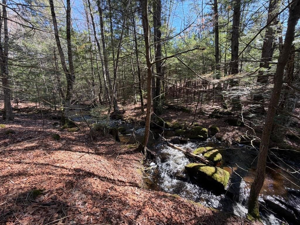 Photo of 00 John Stark Highway, Newport, NH 03773 (MLS # 5075463)