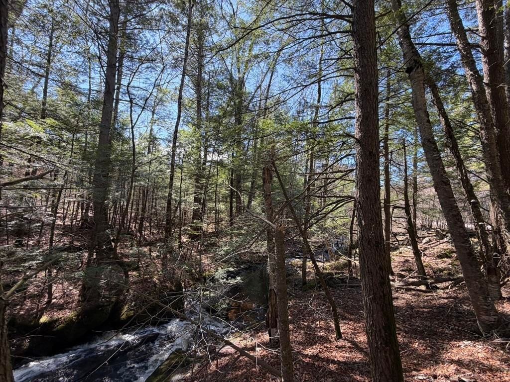 Photo of 00 John Stark Highway, Newport, NH 03773 (MLS # 5075463)