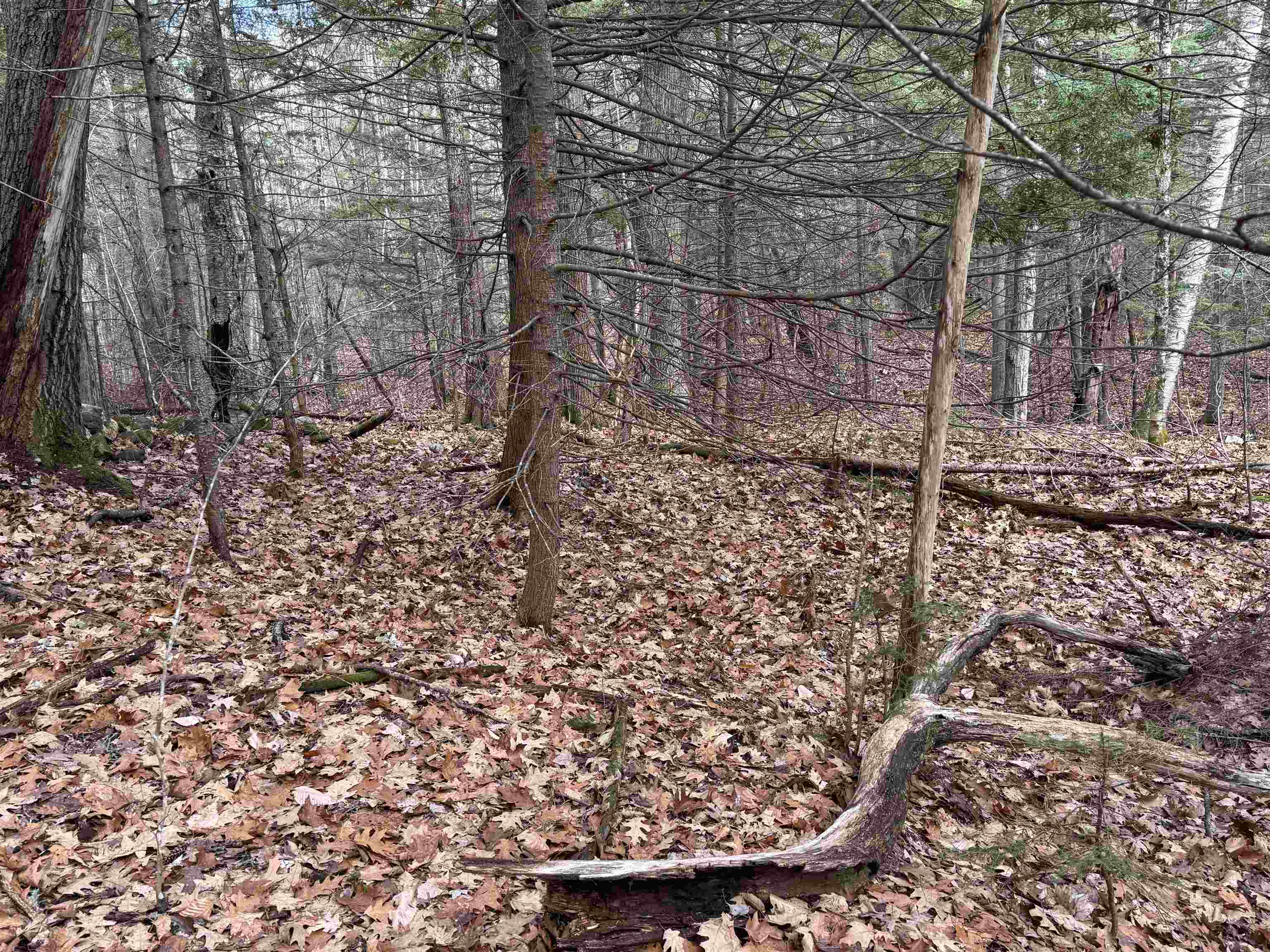 190 Circuit Road