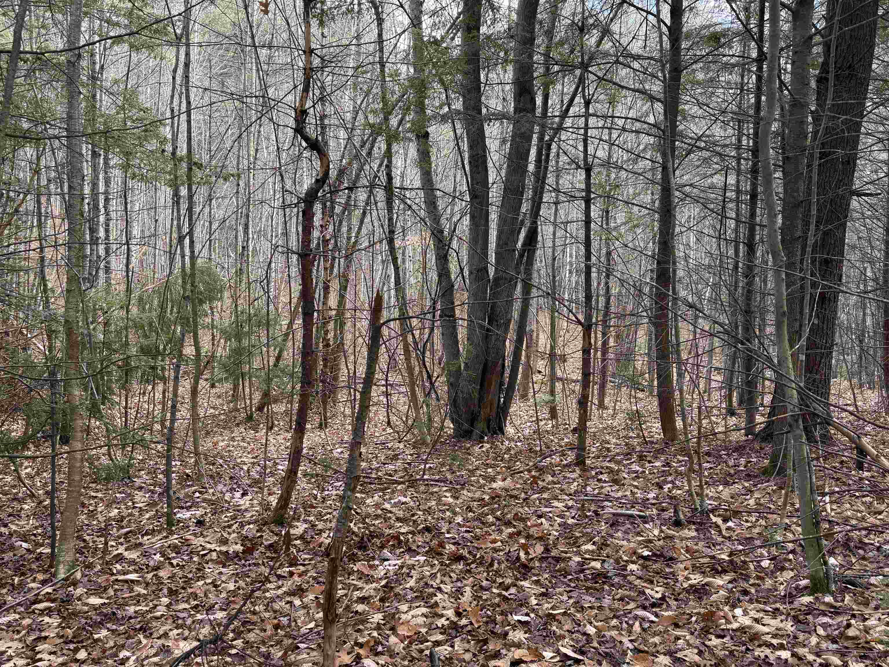 190 Circuit Road