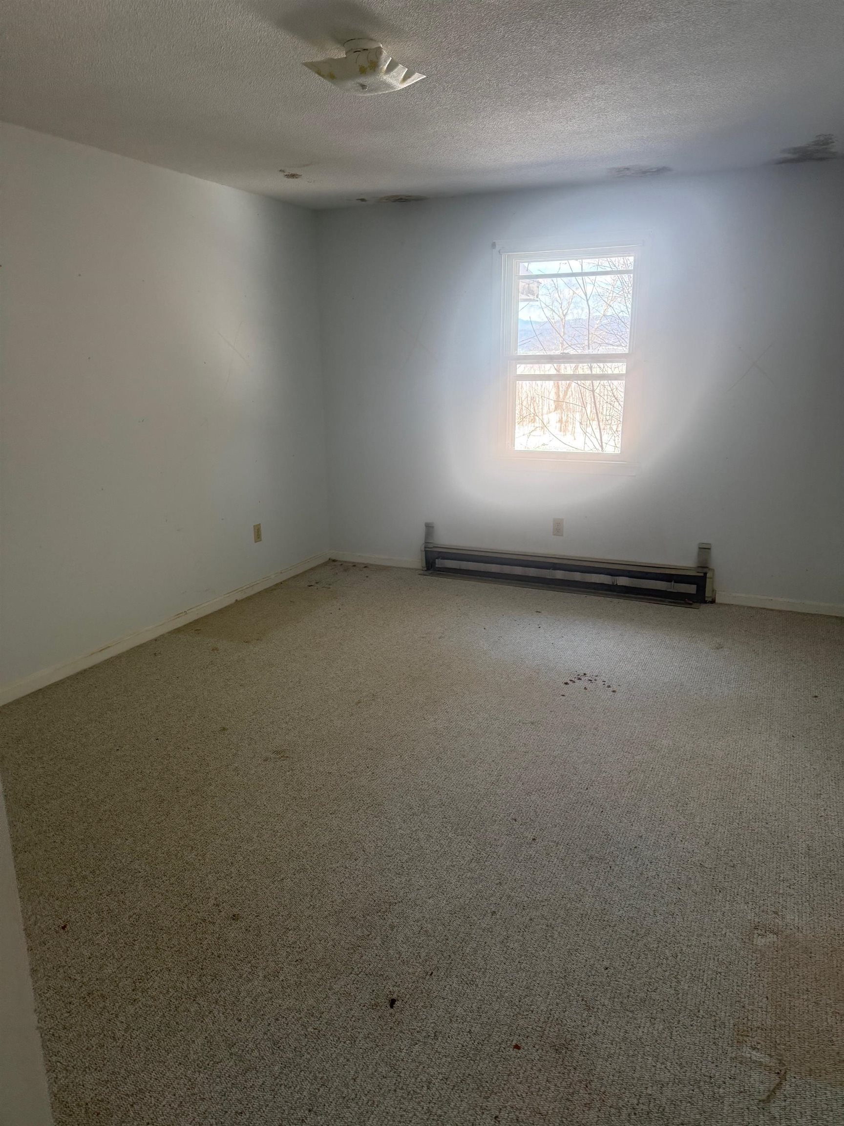 498 Burgey Farm Road