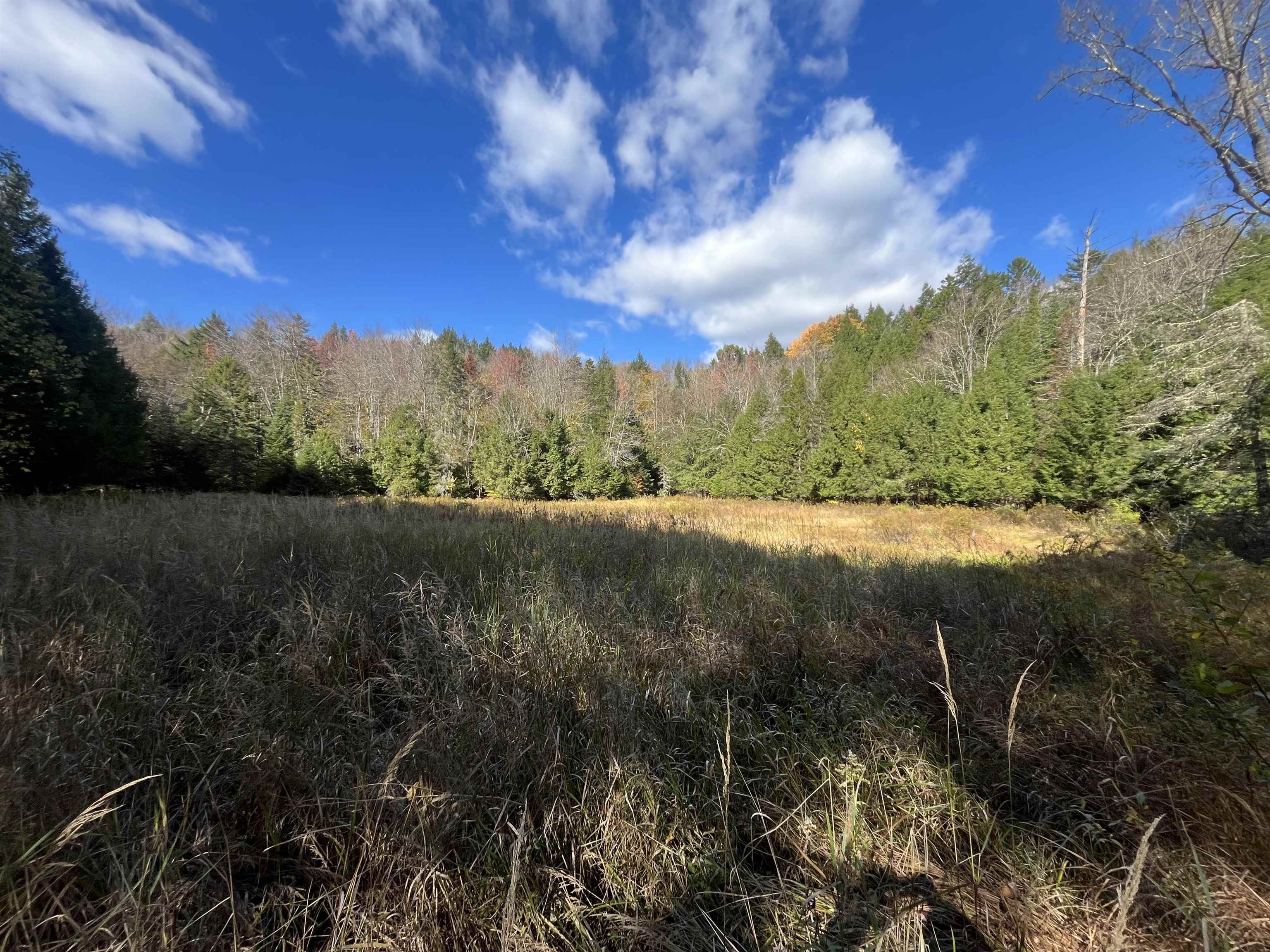 720 Bat Hennessy Road