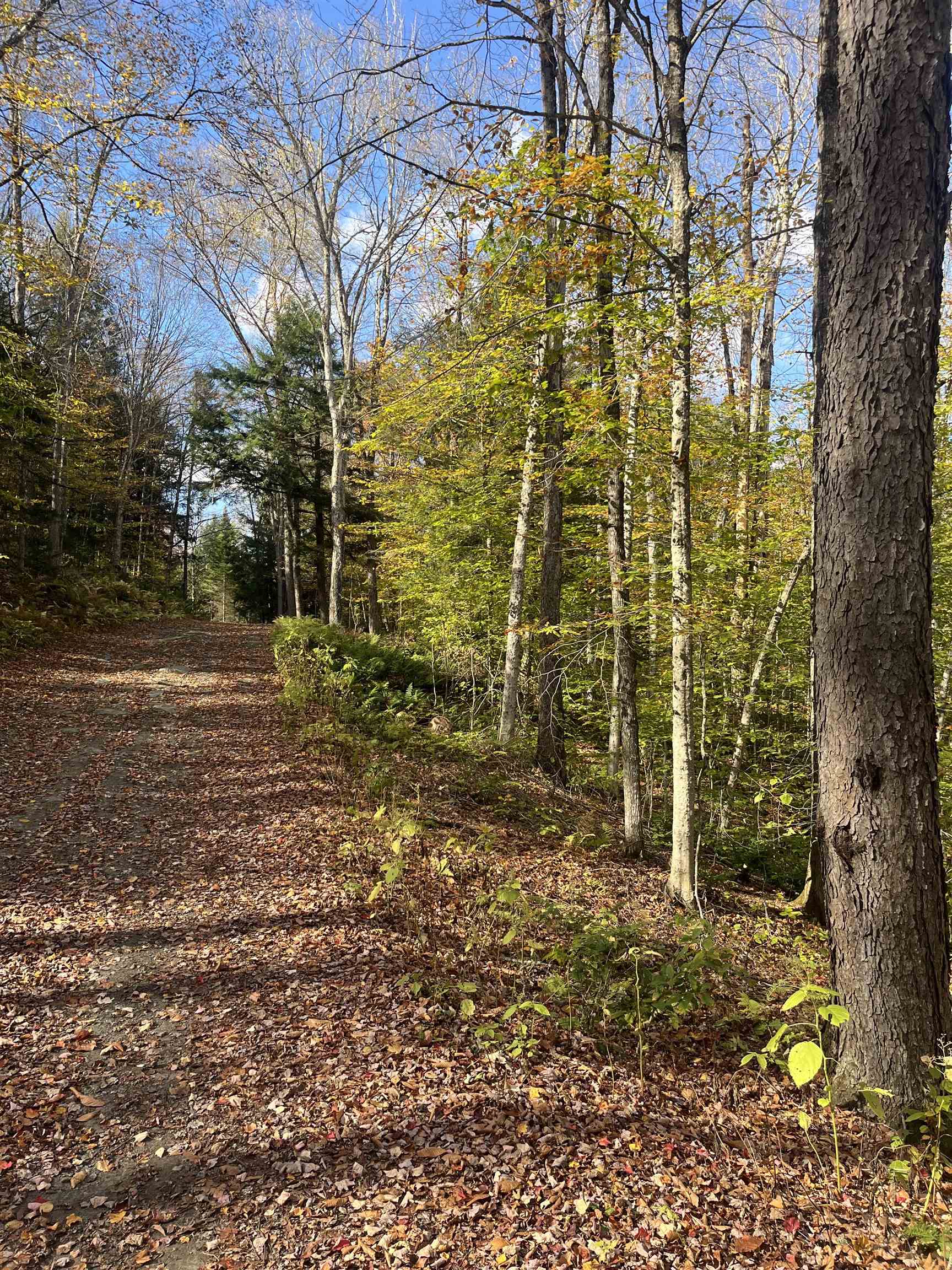 720 Bat Hennessy Road