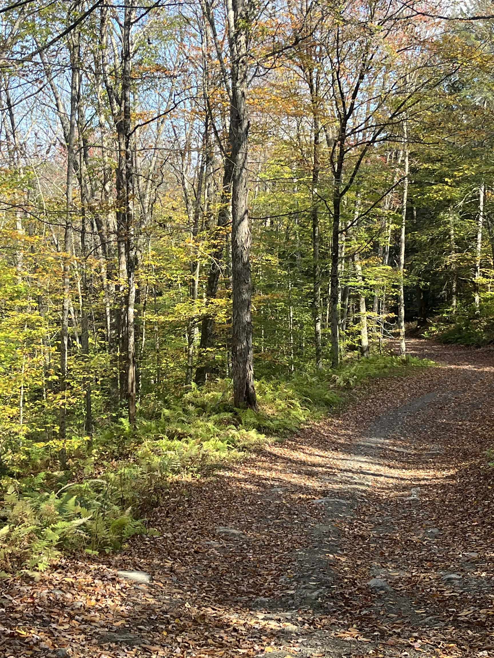 720 Bat Hennessy Road