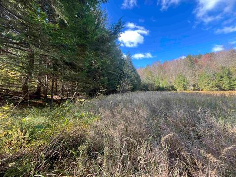 720 Bat Hennessy Road Moretown VT 05660