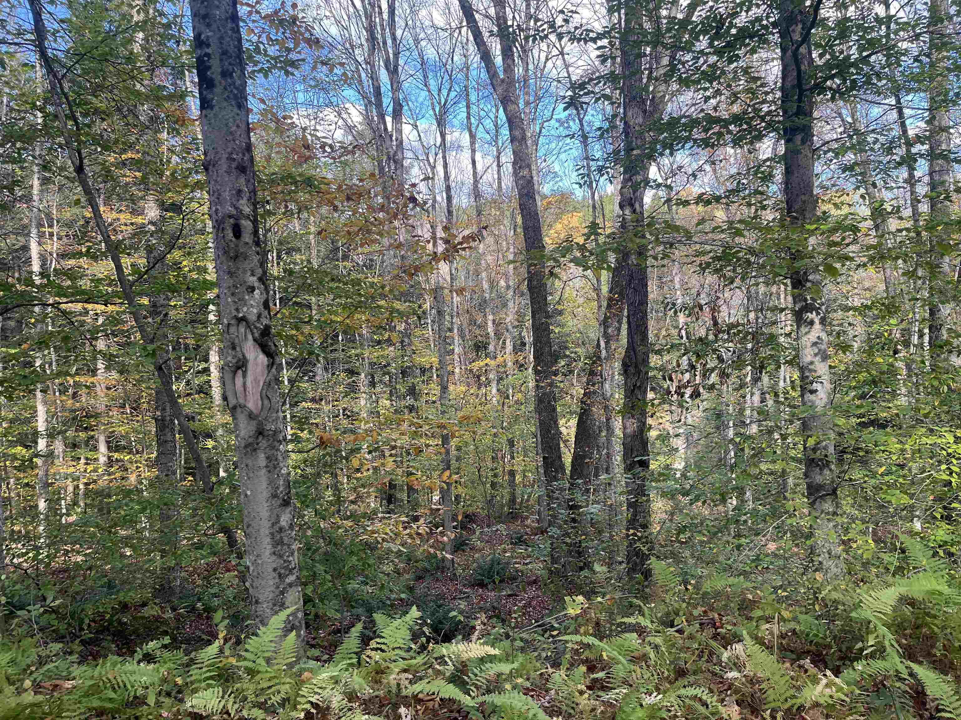 720 Bat Hennessy Road