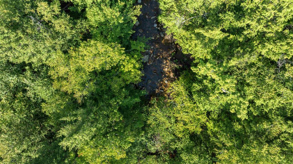 Photo of 563 Ossipee Mountain Road, Ossipee, NH 03814 (MLS # 5061744)