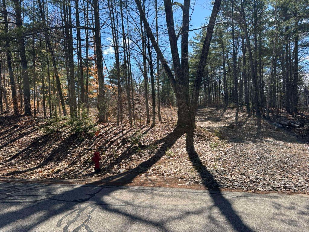 Photo of 143 Holly Ridge Lane #143, Conway, NH 03818 (MLS # 5084734)