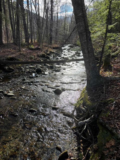 1720 Auger Hole Road Marlboro VT 05301