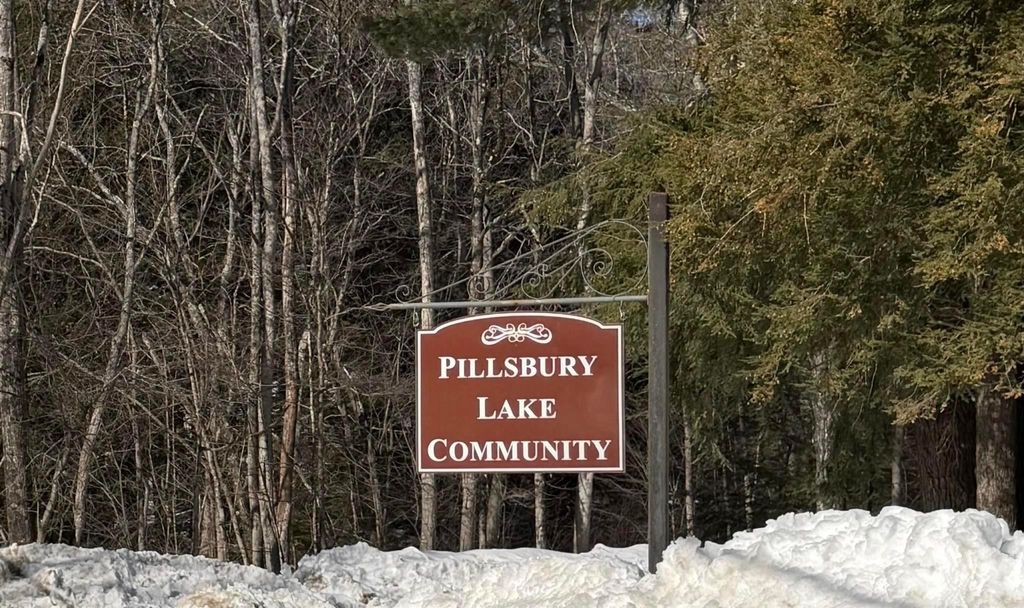 Photo of 110 New Hampshire Drive, Webster, NH 03303 (MLS # 5077145)