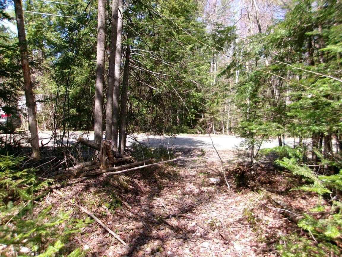 Aspen Lane Lot 111