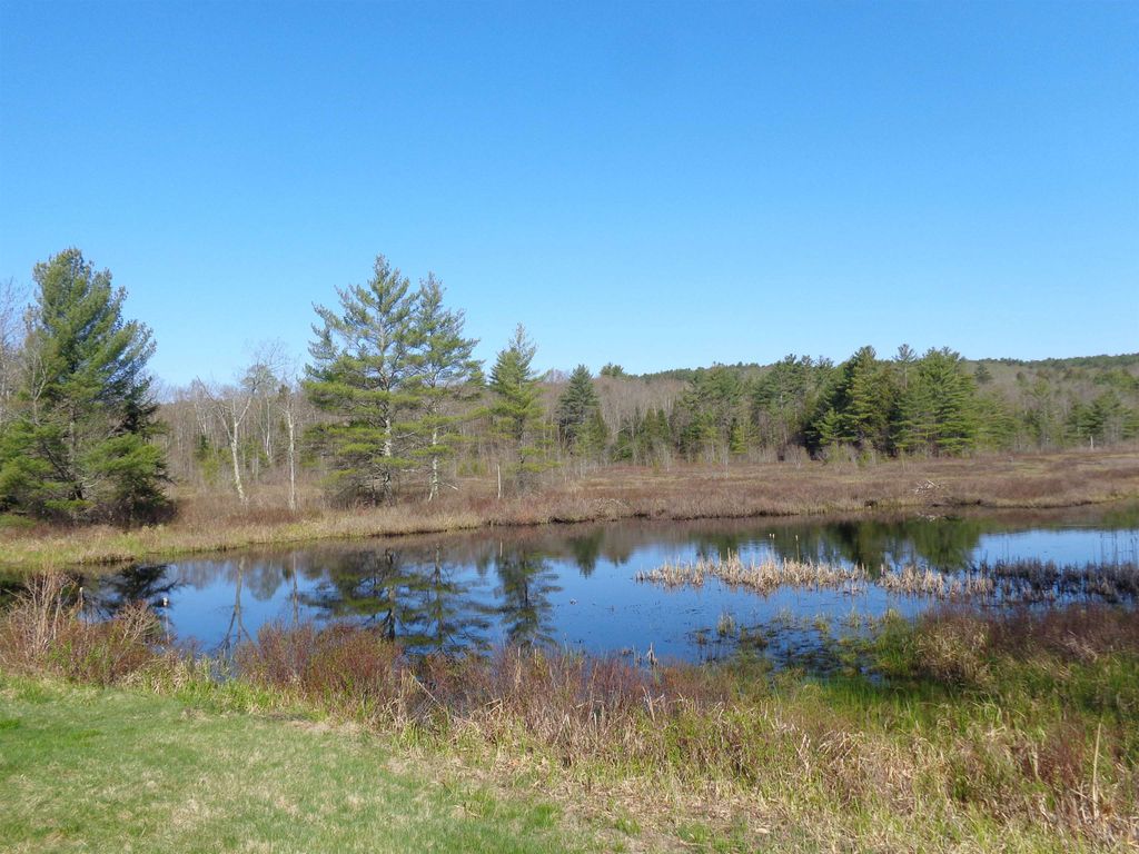 Photo of 30 Phelps Lane #1, Danbury, NH 03230 (MLS # 5073635)