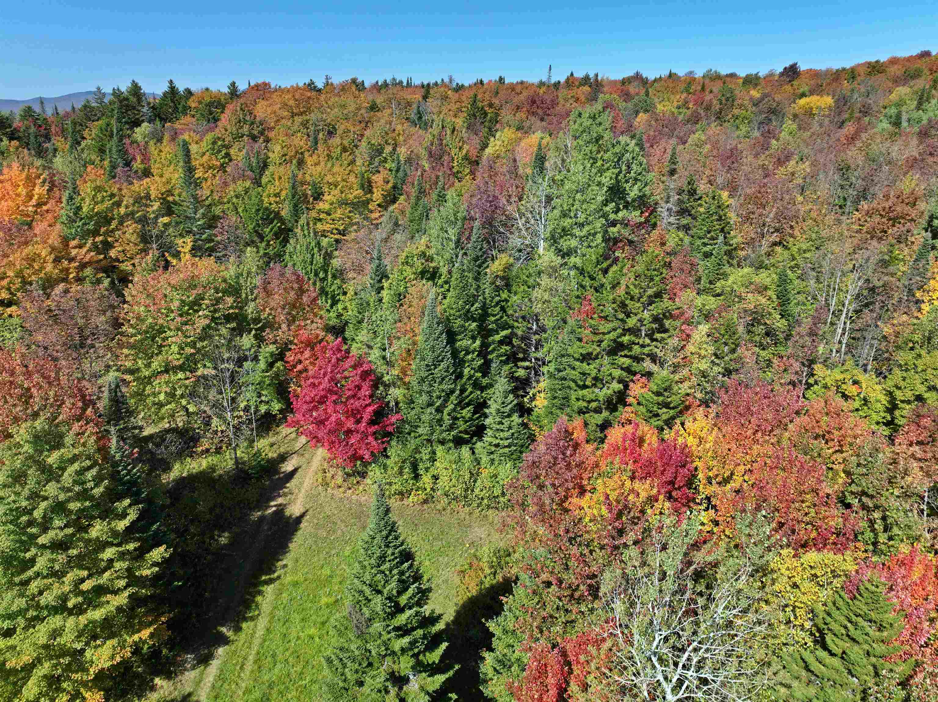 307 Kidder Hill Ridge