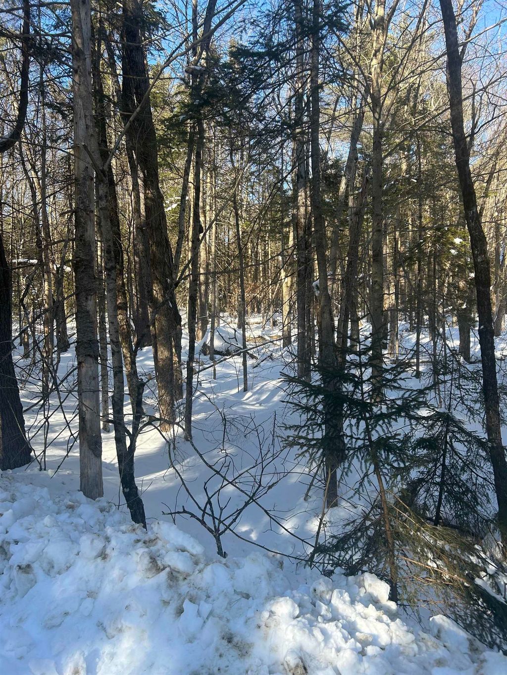 Photo of Presidential Drive, Washington, NH 03280 (MLS # 5079376)