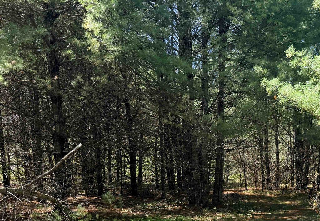 Photo of 129 Pickard Road, Canterbury, NH 03224 (MLS # 5089787)