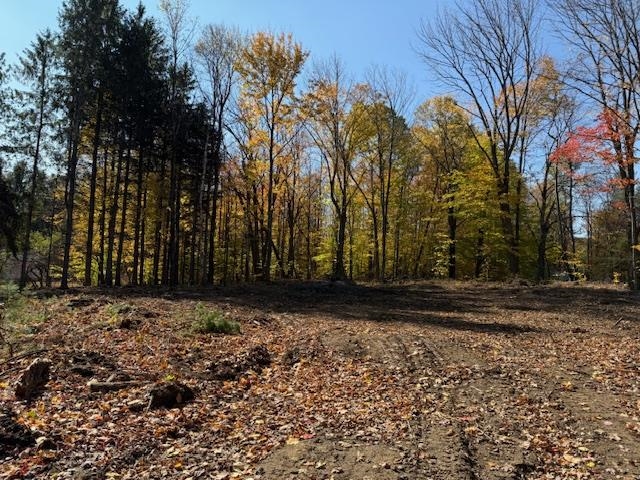 8 Okemo Acres Road