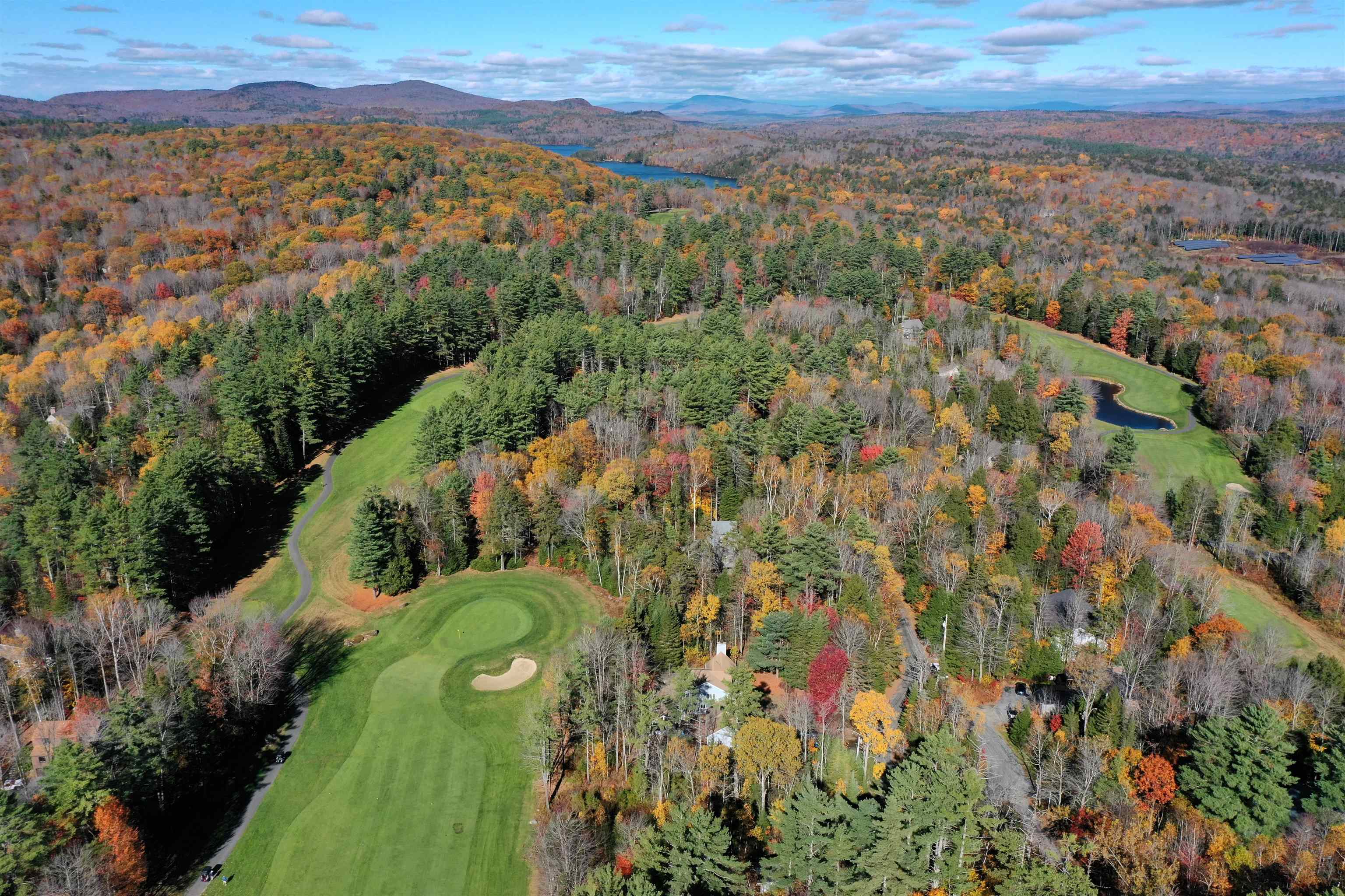 19 Walton Heath Drive