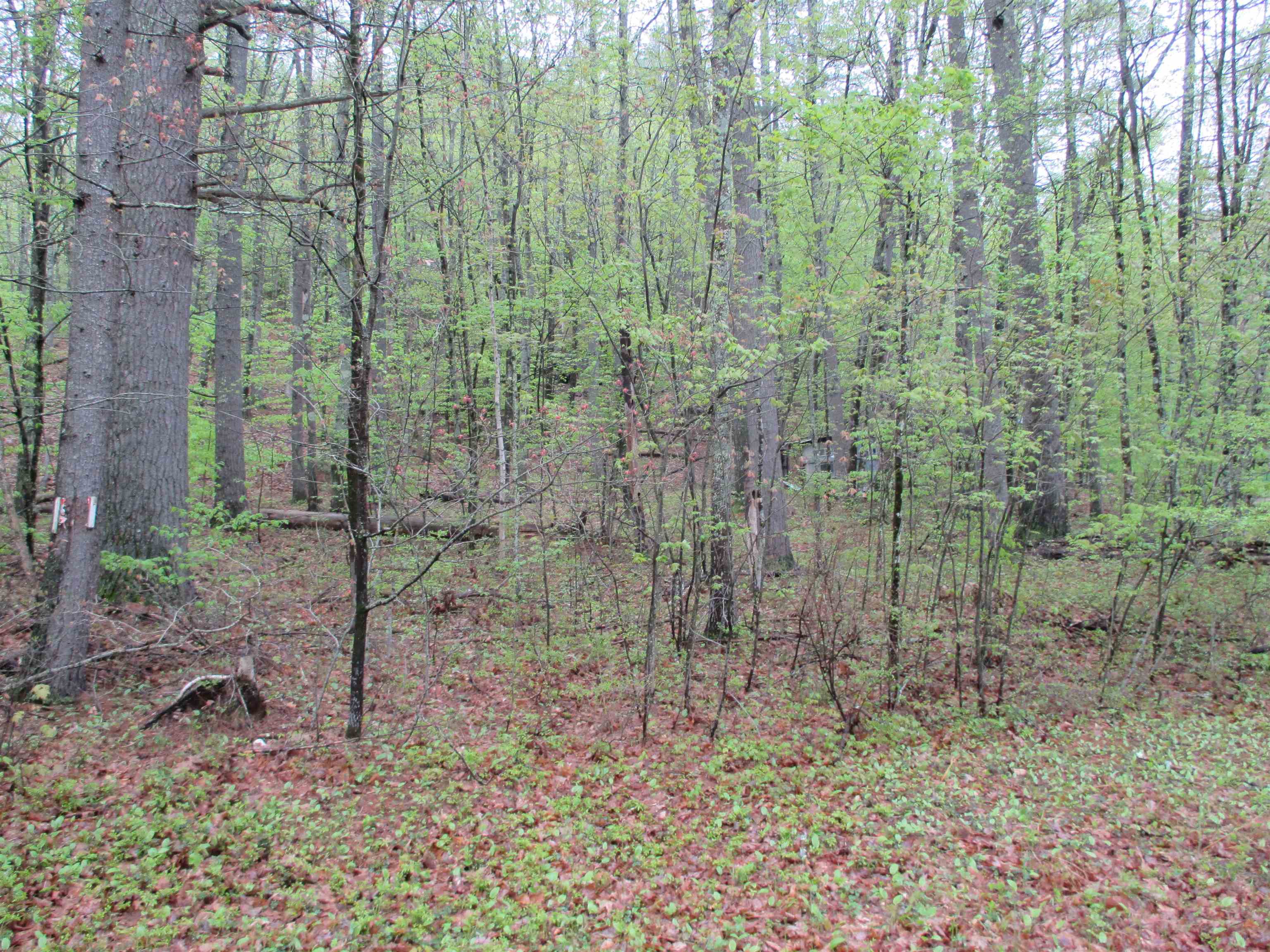72 Brewster Road