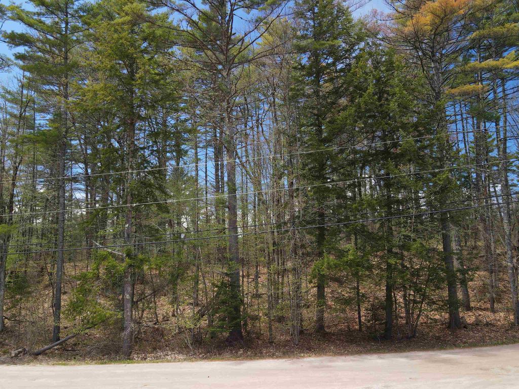 Photo of 12 Eidelweiss Drive, Madison, NH 03849 (MLS # 5087664)
