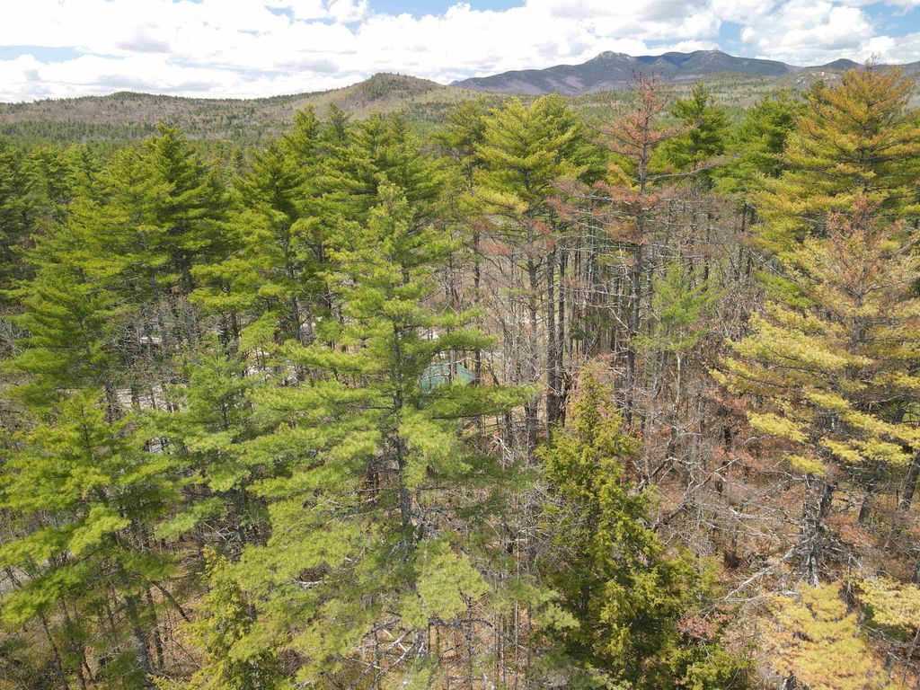 Photo of 12 Eidelweiss Drive, Madison, NH 03849 (MLS # 5087664)