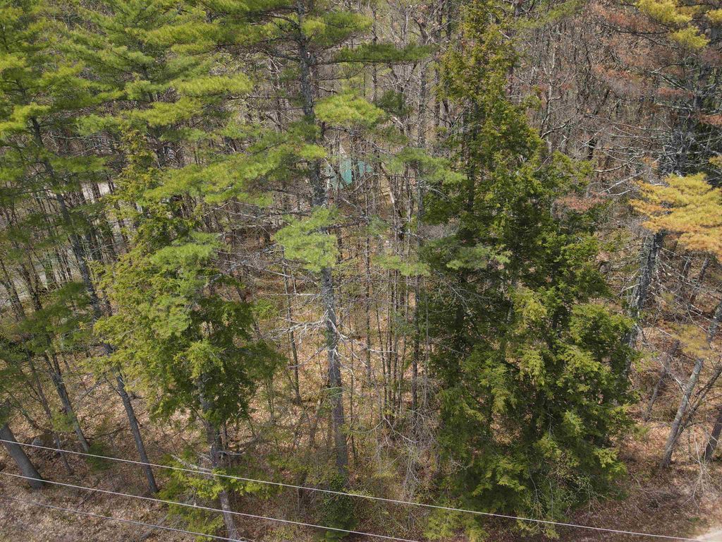 Photo of 12 Eidelweiss Drive, Madison, NH 03849 (MLS # 5087664)