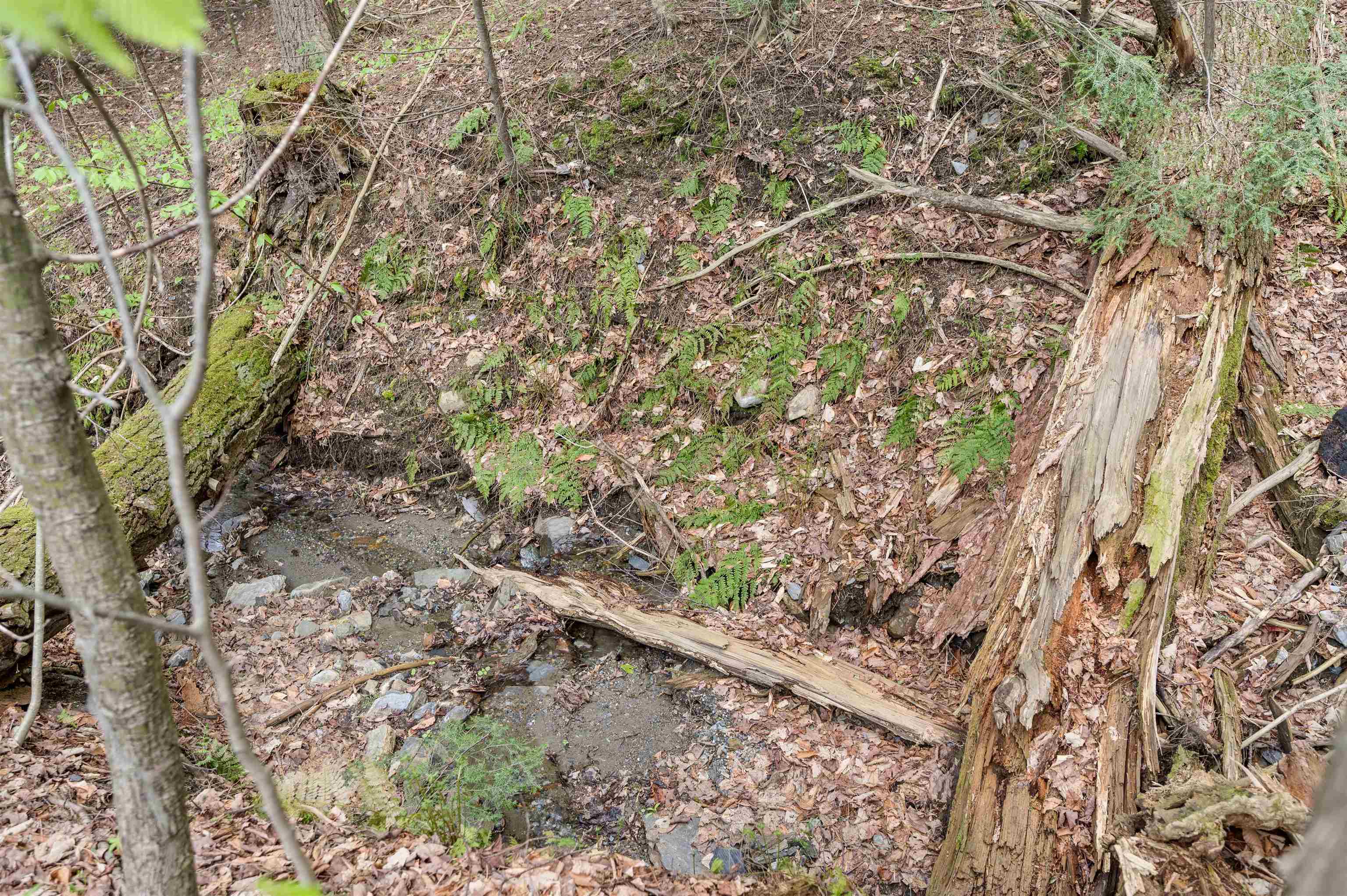 Stowe, Vermont 05672, United States, 4 Bedrooms Bedrooms, ,2 BathroomsBathrooms,Residential,Pending,131685