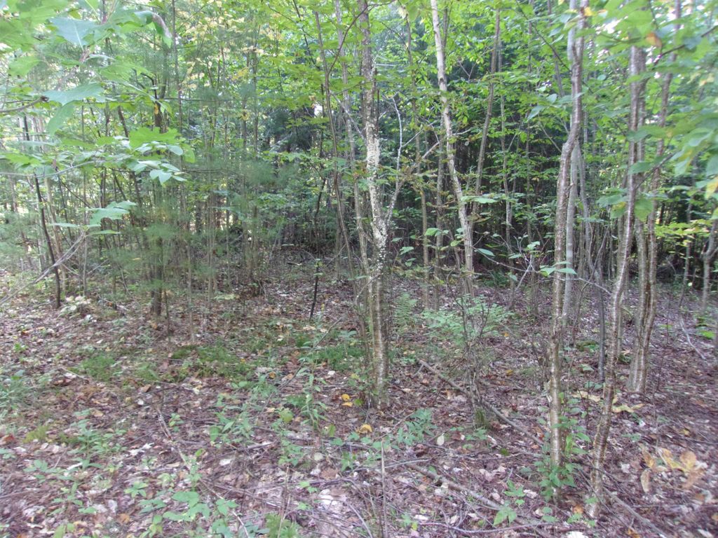Photo of Fenn Way Circle #31, Bath, NH 03740 (MLS # 5066116)