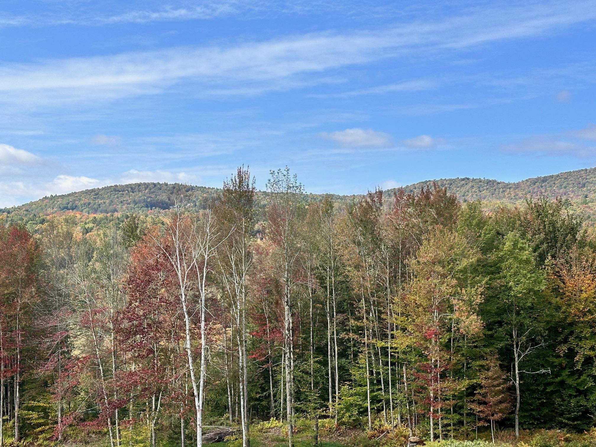 2364 mountain Road Lot #3