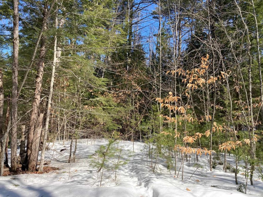 Photo of 0 Henderson Road #Map 272/Lot 42, Conway, NH 03818 (MLS # 5079086)