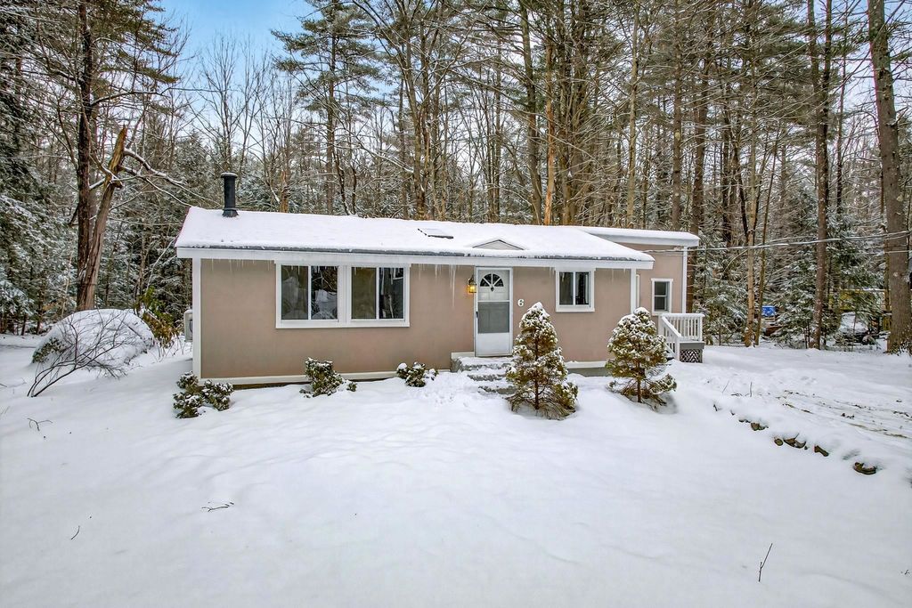 Photo of 6 Birch Tree Lane, Hillsborough, NH 03244 (MLS # 5074072)