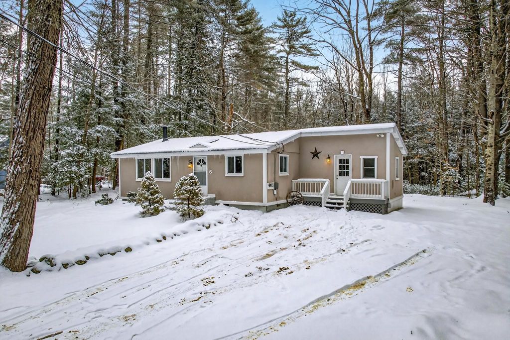 Photo of 6 Birch Tree Lane, Hillsborough, NH 03244 (MLS # 5074072)