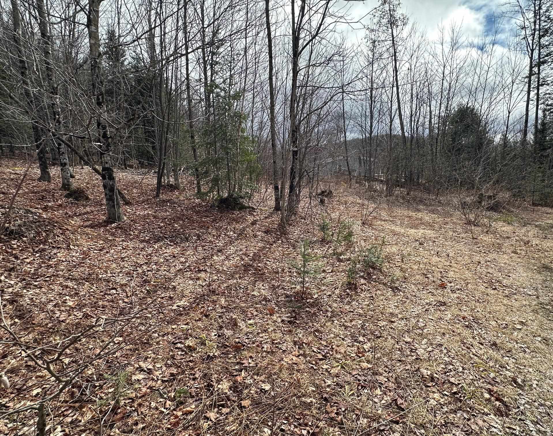 1412 Bean Pond Road