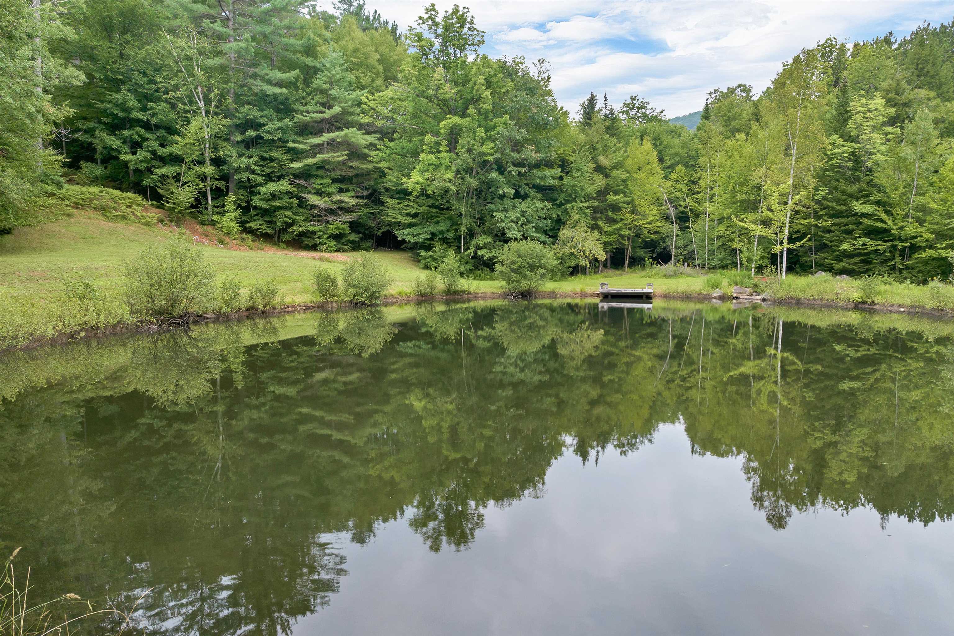 Grantham, New Hampshire 03753, United States, 3 Bedrooms Bedrooms, ,3 BathroomsBathrooms,Residential,Active,192029