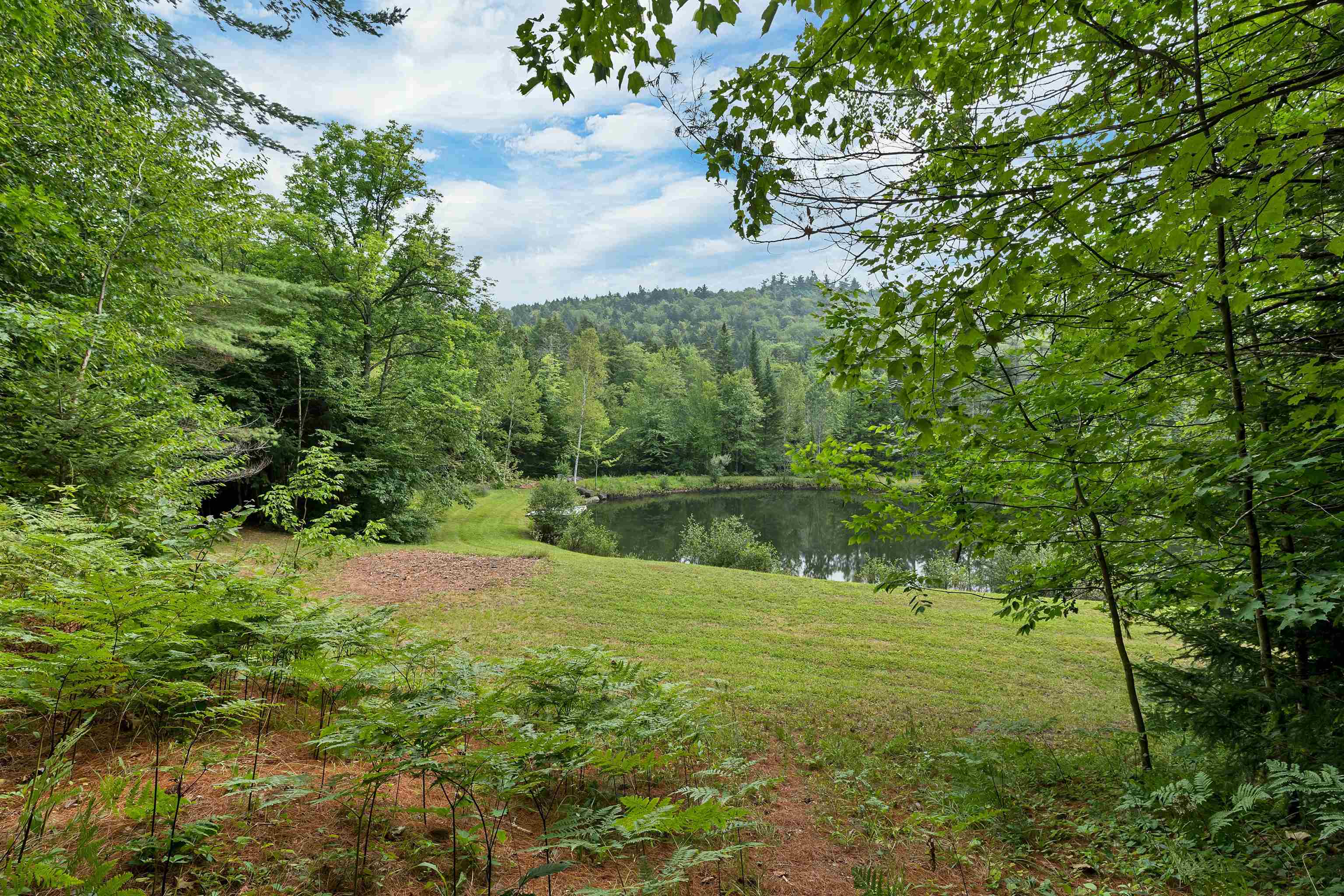 Grantham, New Hampshire 03753, United States, 3 Bedrooms Bedrooms, ,3 BathroomsBathrooms,Residential,Active,192029