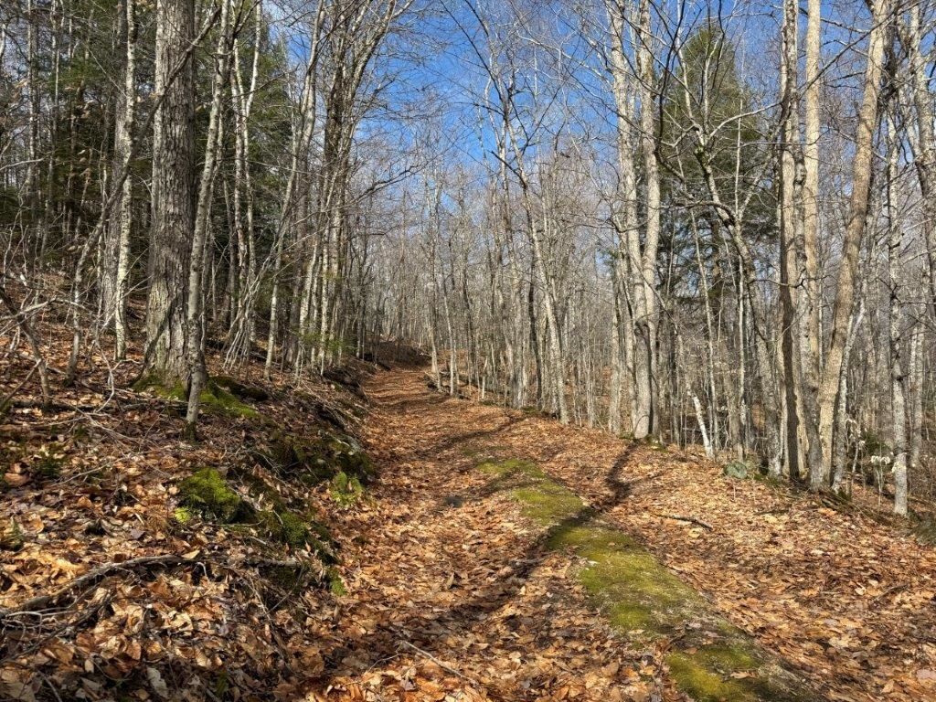 Photo of Hoyt Hill Road, Orange, NH 03741 (MLS # 5083498)