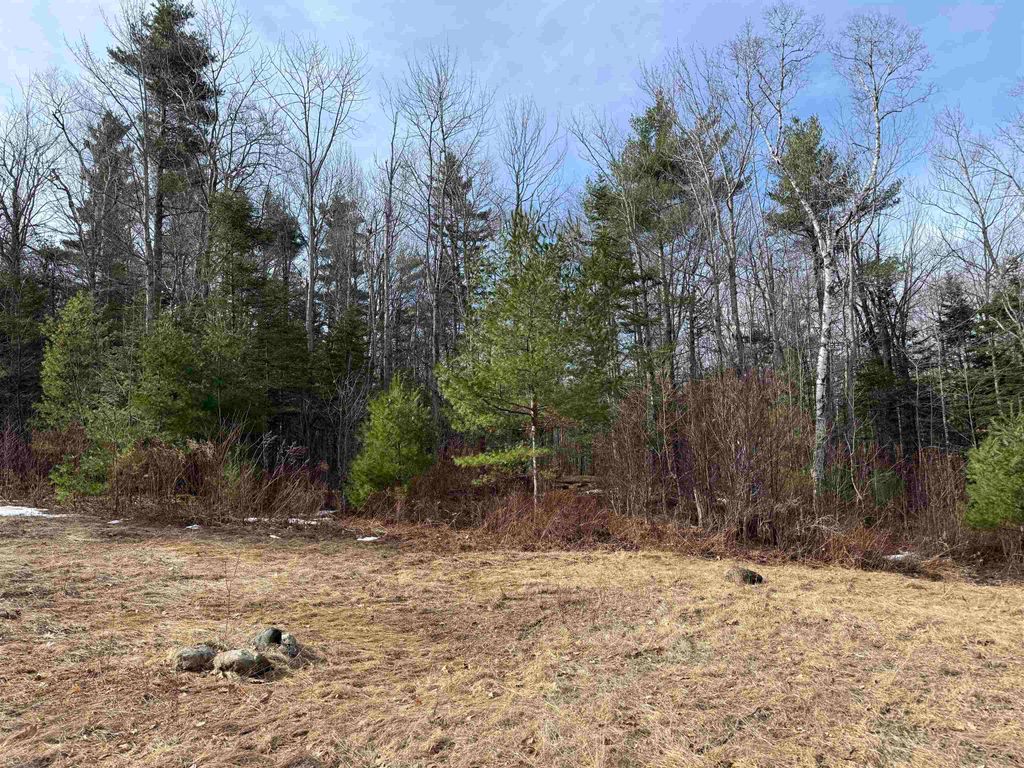 Photo of Hoyt Hill Road, Orange, NH 03741 (MLS # 5083498)