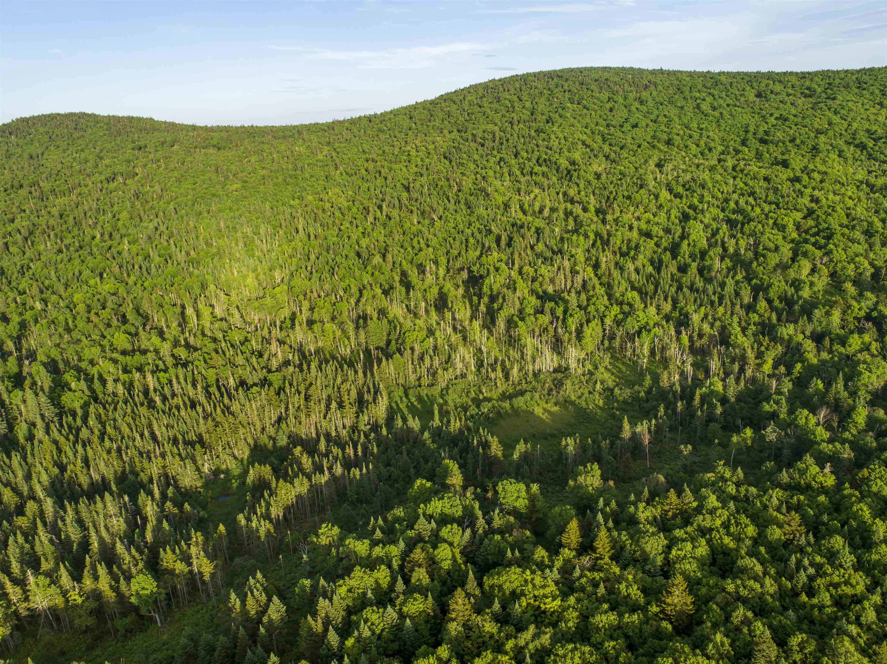 7 & 8 Diamond Pond Park Road B