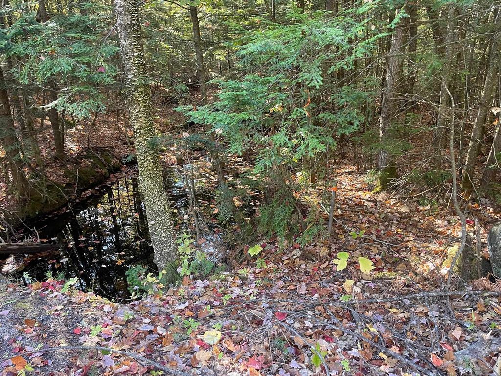 Photo of 00 Mooney Hill Road, Madison, NH 03849 (MLS # 5065338)