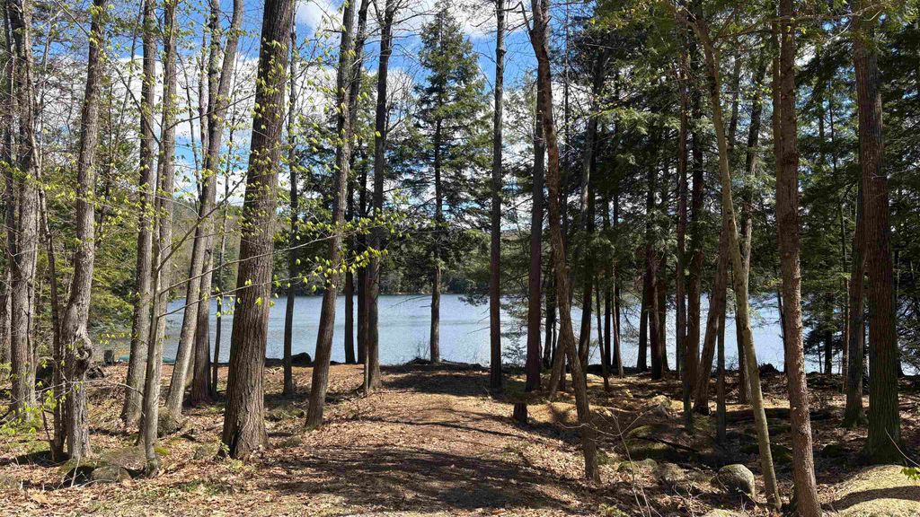Photo of 77 Wild Acre Drive, Washington, NH 03280 (MLS # 5079873)