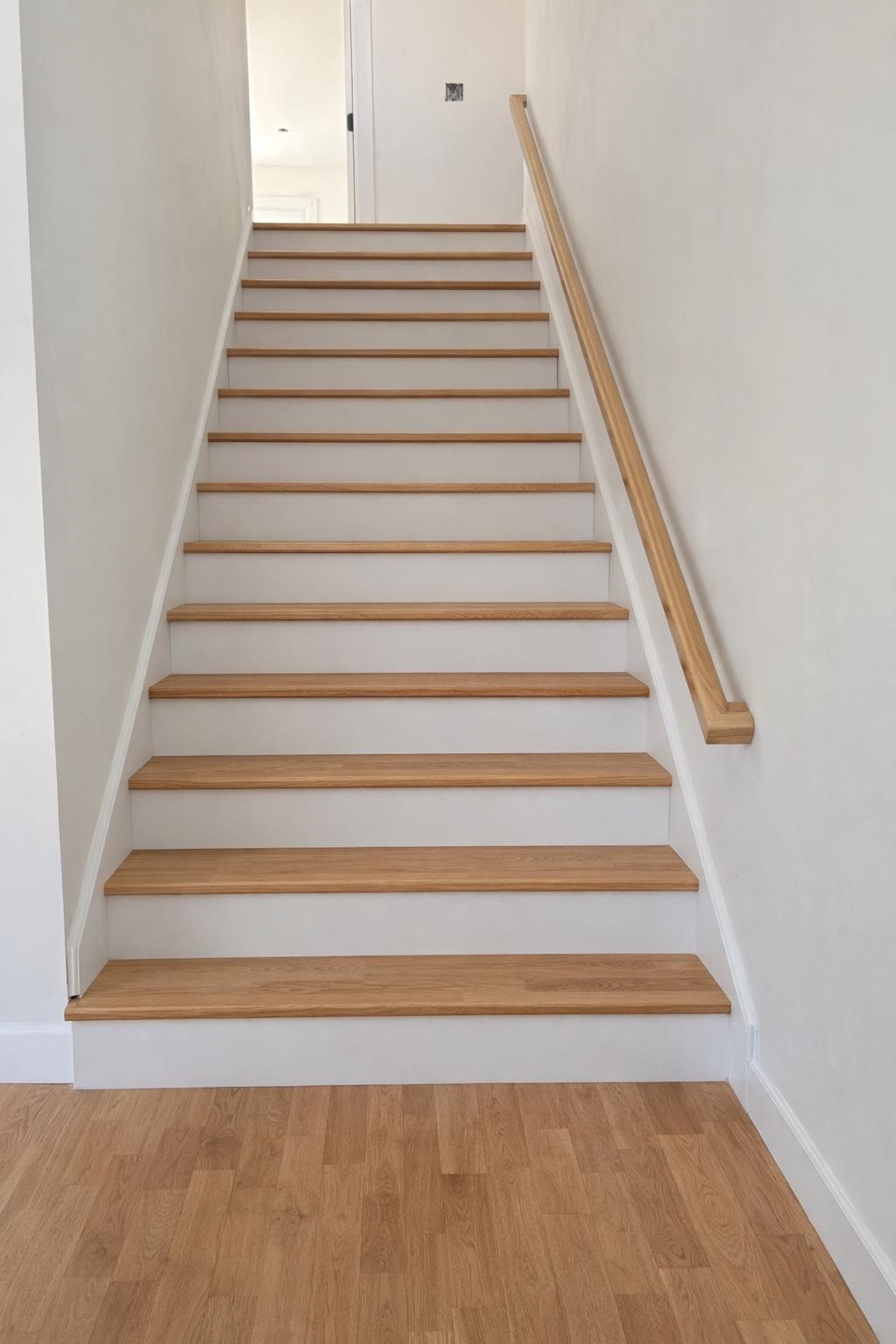 12 Charlotte Drive 5