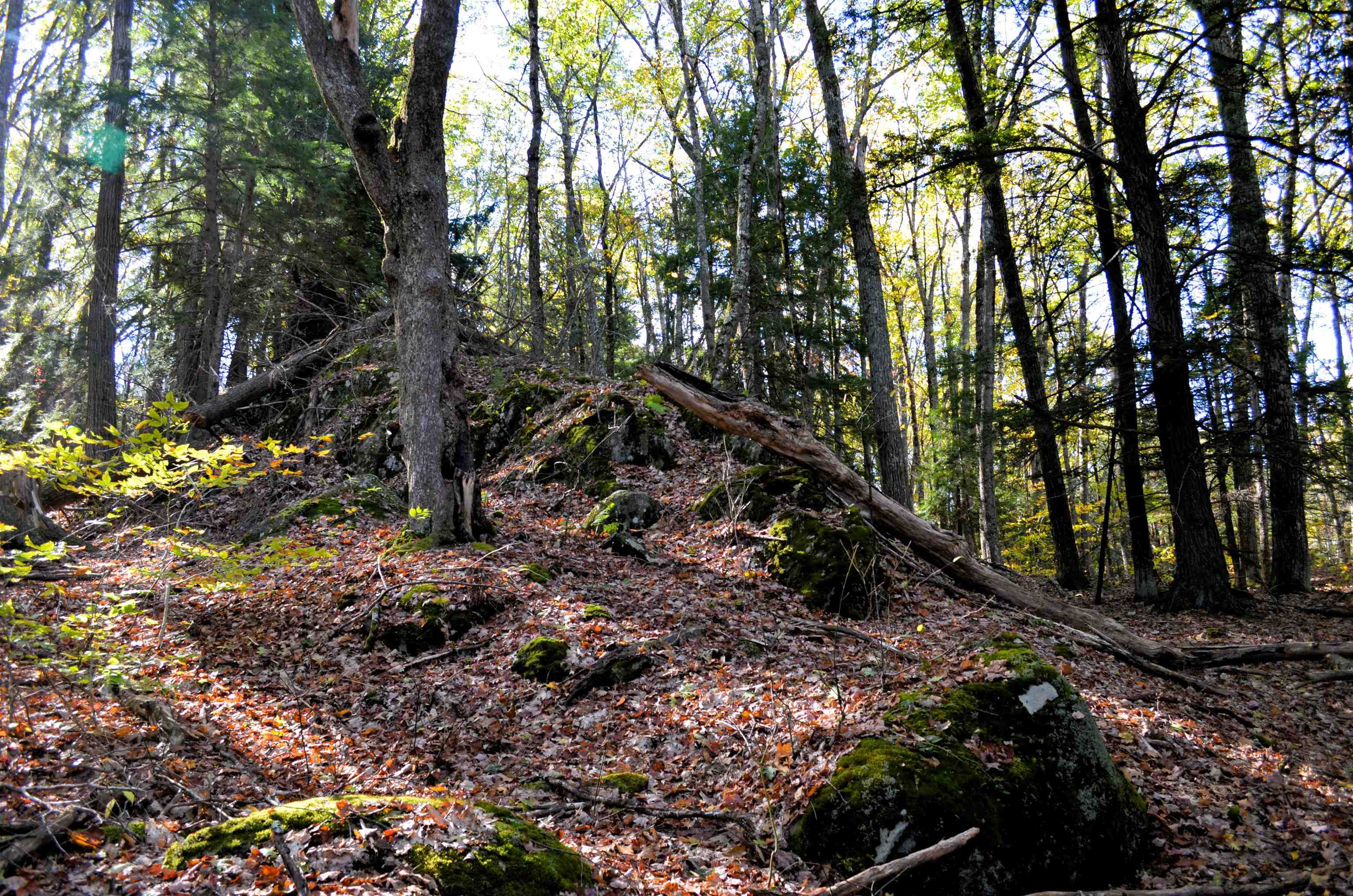 29&31 White Brook Road