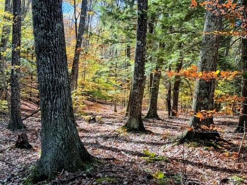 29&31 White Brook Road Gilsum NH 03448