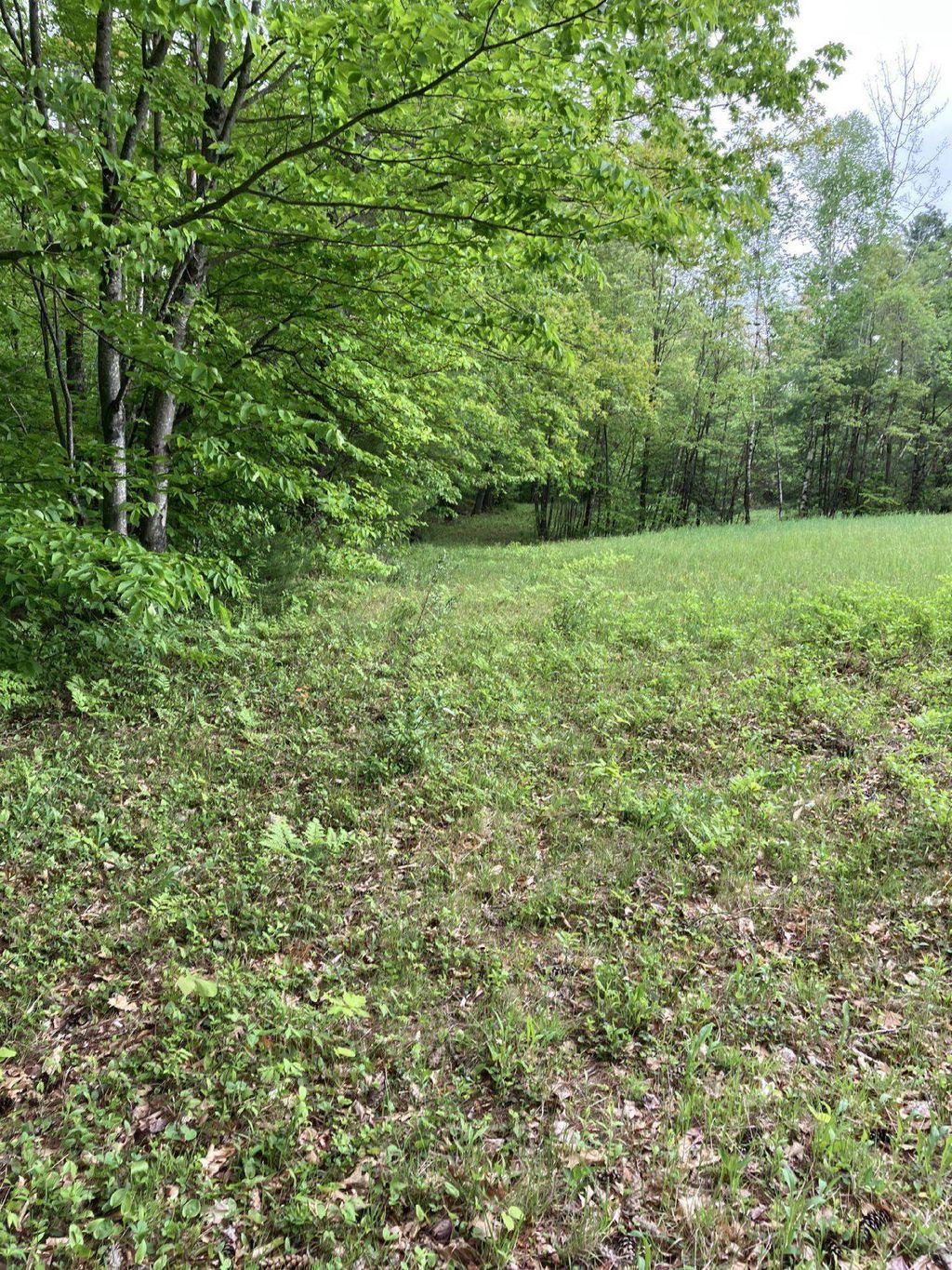 Photo of 14 Dodge Hill Road, Henniker, NH 03242 (MLS # 5045962)