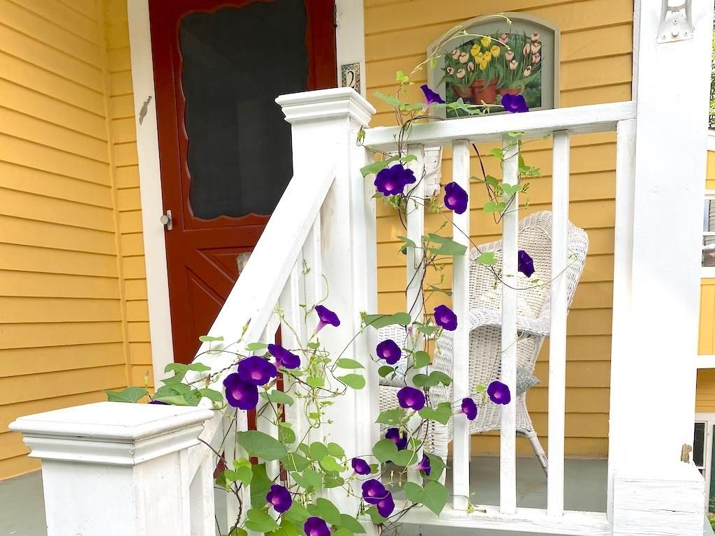 Photo of 27 Pine Street, Peterborough, NH 03458 (MLS # 5082912)