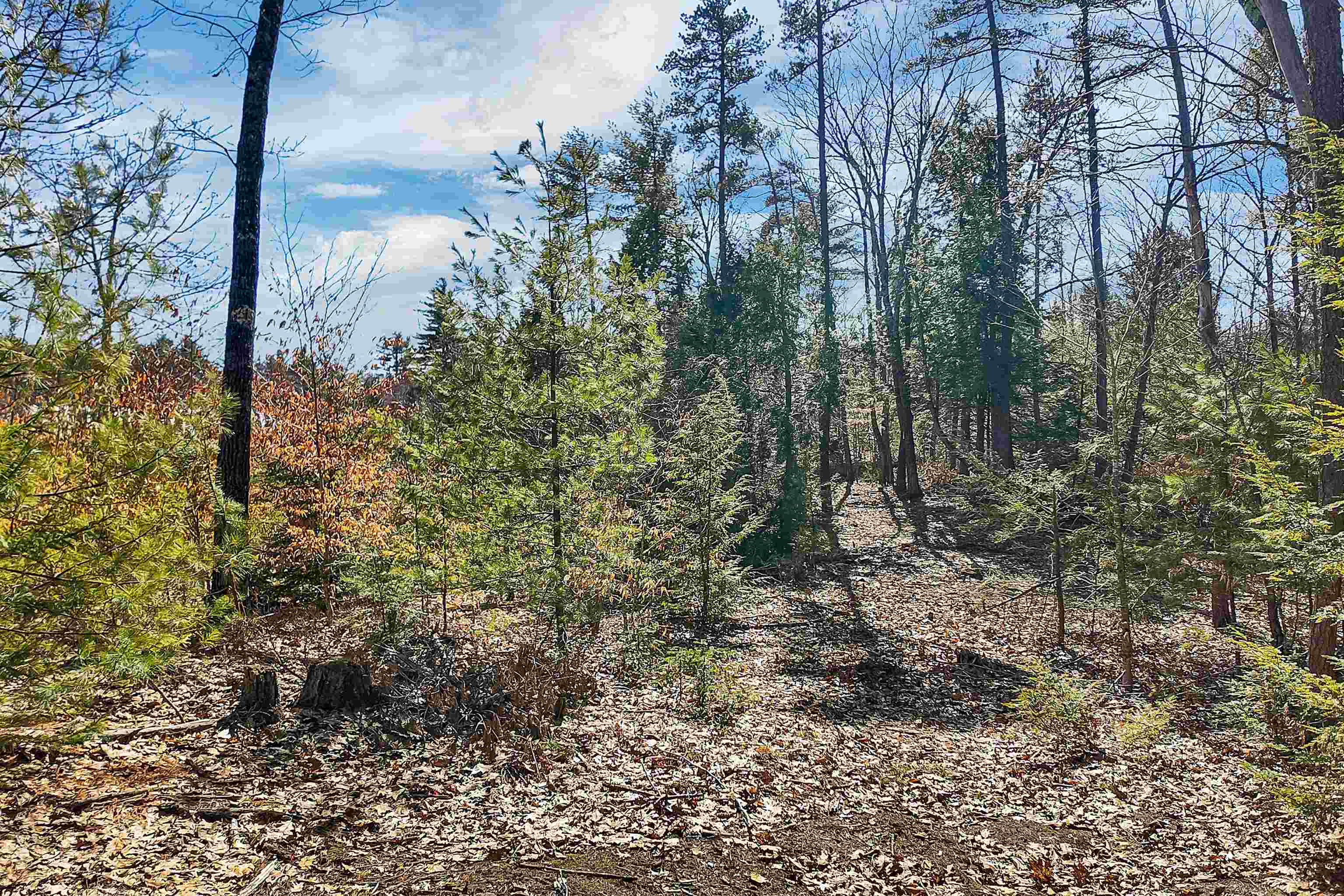 Lot 69 Glen Avenue