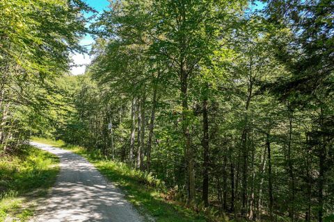1-61 Hawk Spur Road 1-61 Plymouth VT 05056