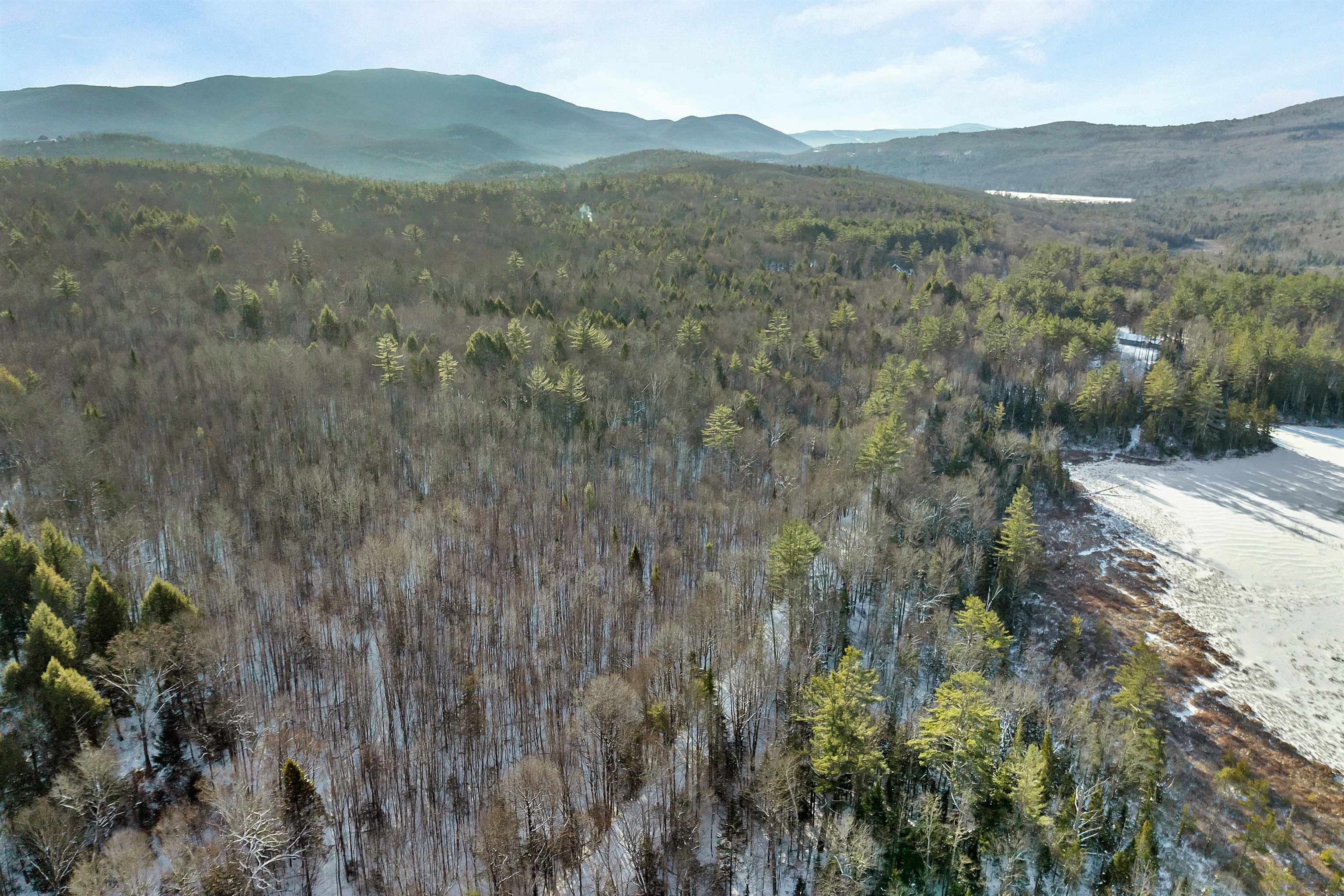 Off Weeks Crossing Road 20-1