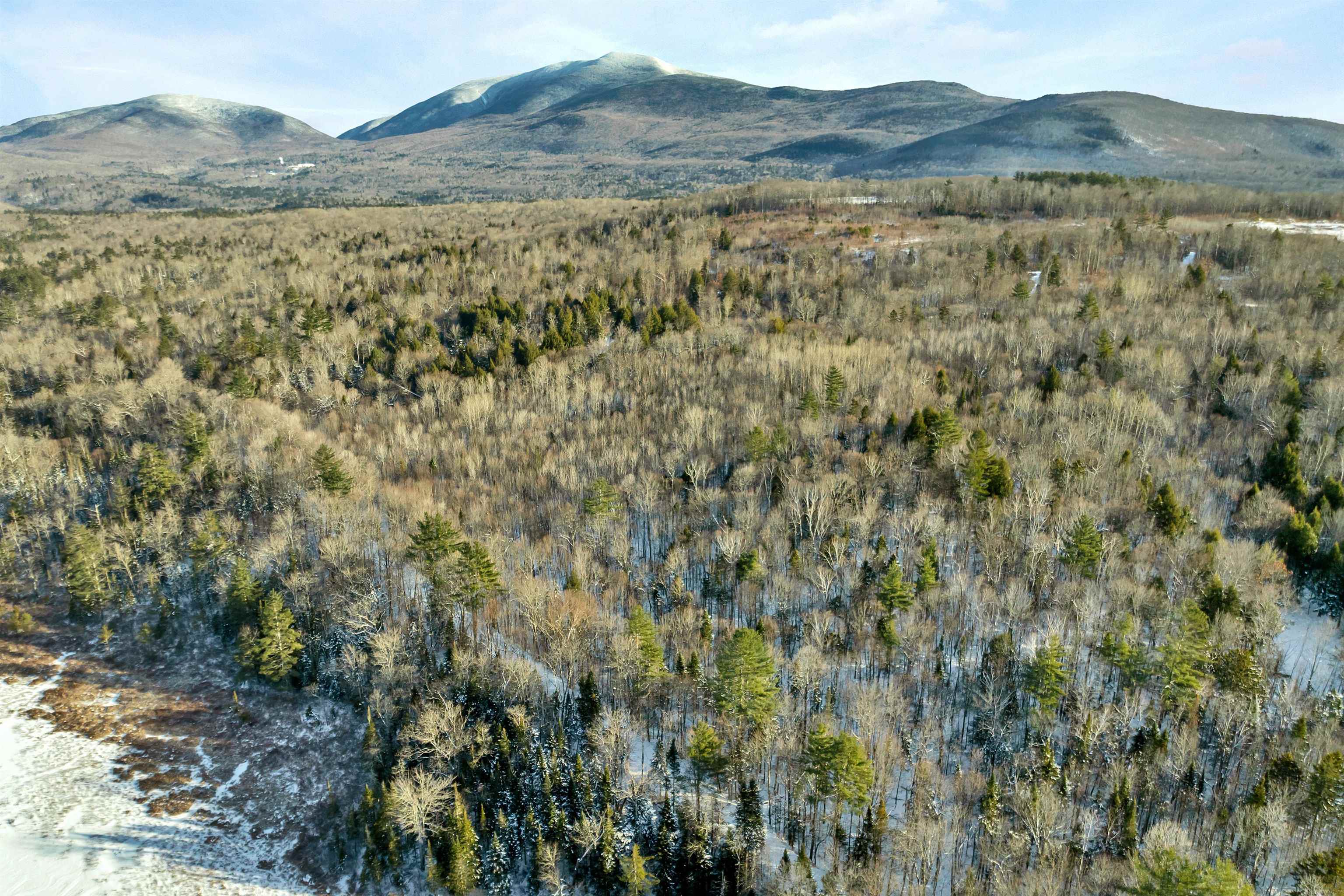 Off Weeks Crossing Road 20-1