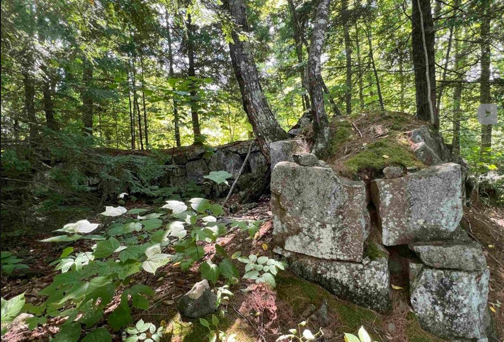 Photo of 638 Chadwick Hill Road, Webster, NH 03303 (MLS # 5086565)