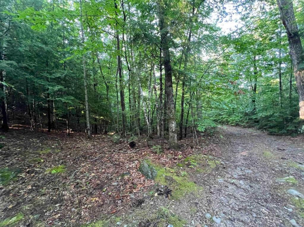 Photo of 638 Chadwick Hill Road, Webster, NH 03303 (MLS # 5086565)